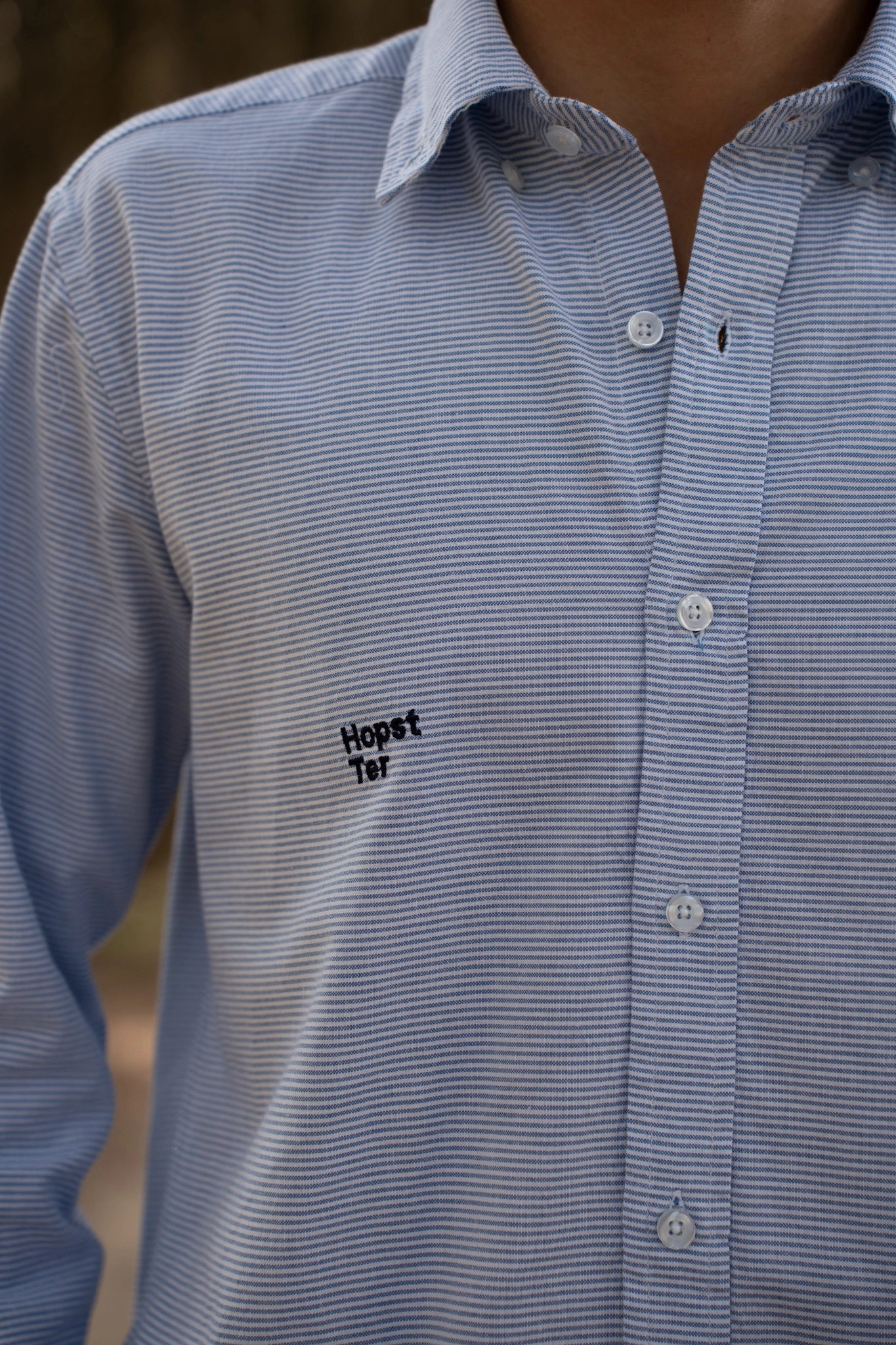 Camisa Azul de Rayas