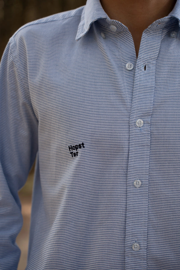 Camisa Azul de Rayas